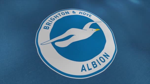 Nahtlose Schleifenwellenbewegung einer blauen Fußballvereinsfahne mit einer weißen Möwe. Bewegung. Das Emblem des Fußballklubs Brighton and Hove Albion. Nur für redaktionelle Zwecke. — Stockvideo