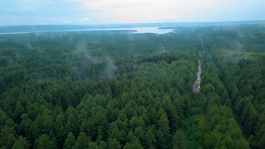Helikopterden yeşil görüntü. Şarjör. Yağmurdan sonra yollarda çamur birikintileri olan yeşil bir orman, yağmurdan sonra küçük bir çökelti ve arkasında bir göl görebilirsiniz. Gökyüzü biraz loş..