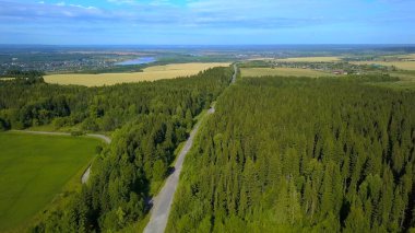 Helikopterden görüntü. Şarjör. Yazın yeşil bir orman, bir yol, şehrin küçük bir kısmı, arkasında mavi bir gökyüzü, bir nehir ve küçük bir tarla görünür..