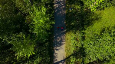 Kuş bakışı görüş. Şarjör. İşçiler yeşil ormanda özel bir üniformayla yürürler..