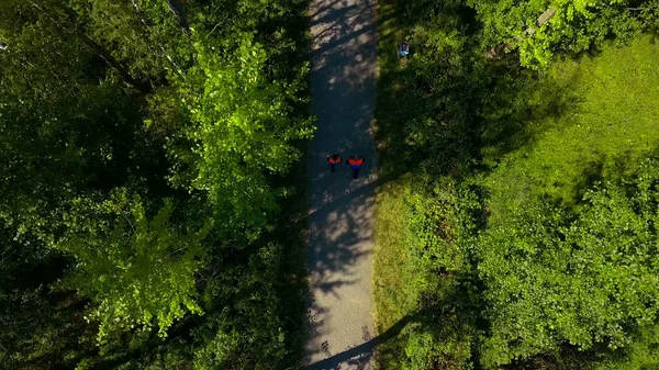 Vue d'oiseau-oeil. Clip. Les travailleurs marchent à travers la forêt verte dans un uniforme spécial. — Photo