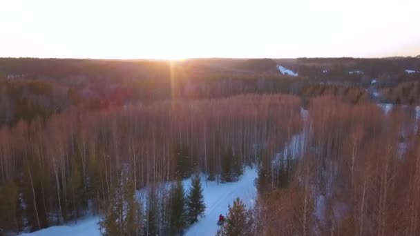 Голий зимовий ліс. Кліп. Вид з дрона. Вид на зимовий ліс, сніг, блакитне небо і яскраве палаюче сонце . — стокове відео