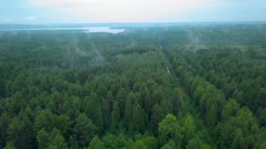 Helikopterden yeşil görüntü. Şarjör. Yağmurdan sonra yollarda çamur birikintileri olan yeşil bir orman, yağmurdan sonra küçük bir çökelti ve arkasında bir göl görebilirsiniz. Gökyüzü biraz loş..