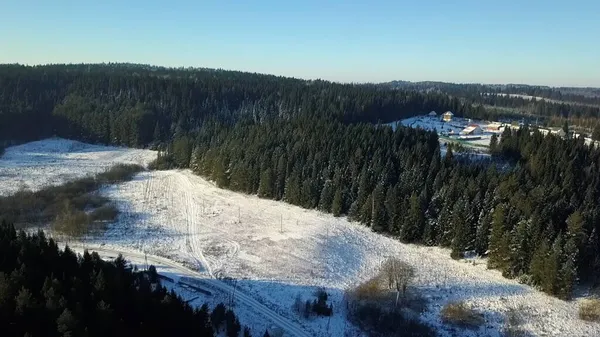 Foto van de drone. Winterochtend. Een knip. Winterbos met veel groene dennenbomen, blauwe lucht, sneeuw . — Stockfoto