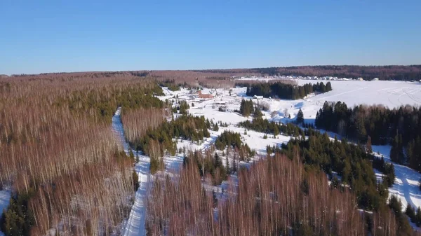 Foto del dron. Mañana de invierno. Clip. Bosque de invierno con muchos abetos verdes, cielo azul, nieve . — Foto de Stock