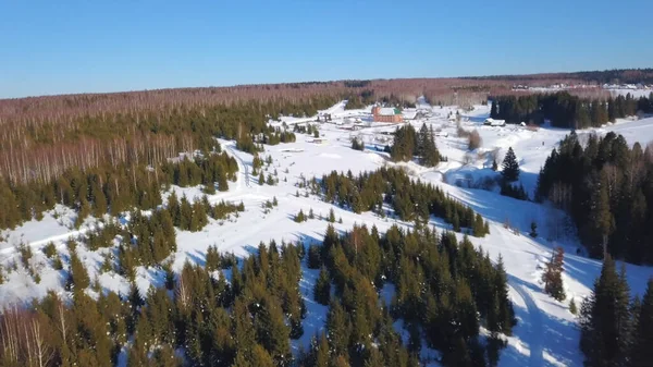 Фото безпілотника. Зимовий ранок. Кліп. Зимовий ліс з великою кількістю зелених ялинок, блакитне небо, сніг  . — стокове фото