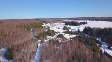 Helikopterden görüntü. Şarjör. Güzel karlı kış ormanı Büyük köknar ağaçları ve huş ağaçları .