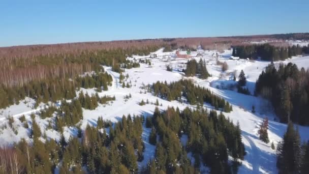 Foto van de drone. Winterochtend. Een knip. Winterbos met veel groene dennenbomen, blauwe lucht, sneeuw . — Stockvideo