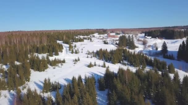 Foto do drone. Manhã de inverno. Clipe. Floresta de inverno com muitos abetos verdes, céu azul, neve . — Vídeo de Stock