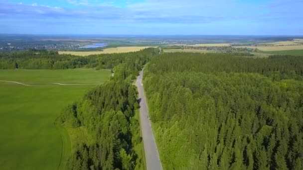 Une vue aérienne de la forêt. Clip. Une immense forêt avec de grands arbres verts, à côté de la route, derrière laquelle se trouve un champ jaune, ciel bleu et au loin une rivière ou un étang. — Video