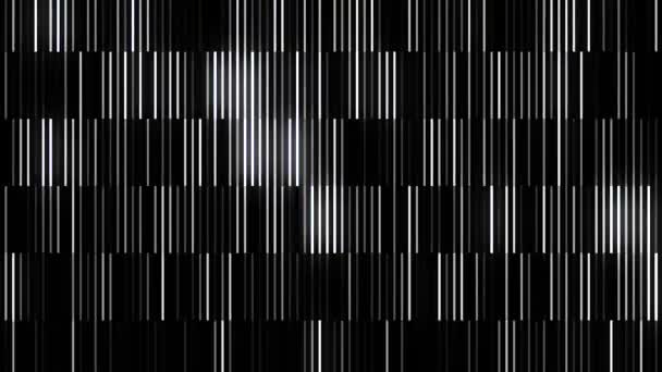 Fond abstrait avec des lignes monochromes fluo mobiles sur fond noir. Motion. Cordes néonlight verticales blanches et noires hypnotiques clignotant rapidement, boucle transparente. — Video