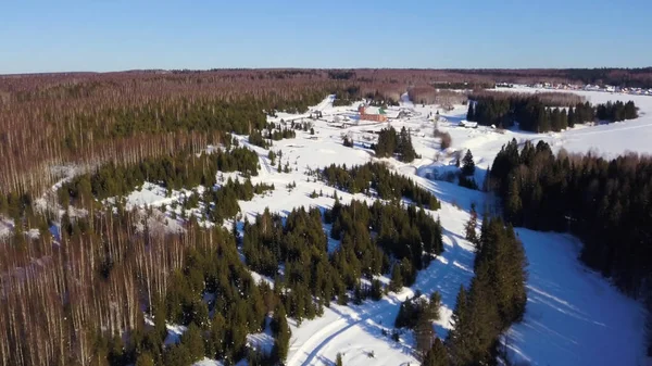 De uitgestrektheid van het winterbos. Een knip. Birds-eye zicht. Een enorm besneeuwd wit bos met grote besneeuwde kerstbomen op een blauwe hemel achtergrond. — Stockfoto