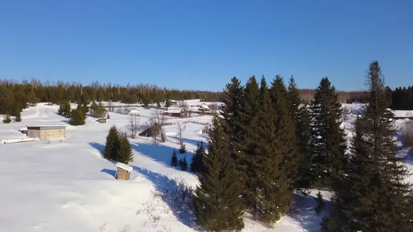 Winter forest from a drone. Clip. Beautiful snow trees next to houses against a clear sky background. — Stock Photo, Image