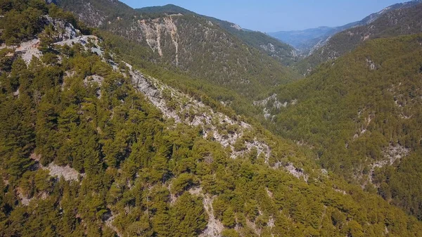 Una vista a volo d'uccello di enormi montagne. Clip. Enormi montagne verdi estive con alberi in crescita su di loro . — Foto Stock