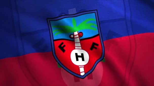 サッカーチームの紋章と旗。動きだ。サッカー代表チームの象徴。サッカー競技会。ハイチ代表チームのポルトガル国旗 — ストック動画
