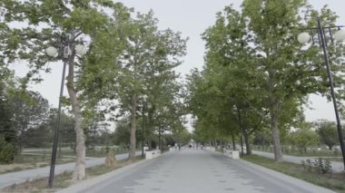 Yeşil ağaçların büyüdüğü geniş kaldırımlı şehir caddesi. Başla. Şehir manzarası güzel bir sokak ve yürüyen insanlar..