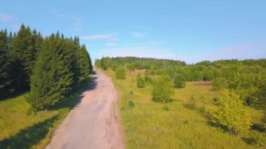 Yaz yolu. Şarjör. Yeşil bir orman yolu manzarası. Bir otobüs ve bir araba güzel köknar ağaçları ve bir sürü çimen etrafında geziniyor..