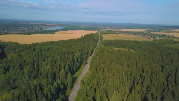 Bella vista del campo dal drone. Clip. Un'enorme foresta verde russa con una strada, un campo oltre, un cielo azzurro, un fiume e un piccolo pezzo di città. — Video Stock