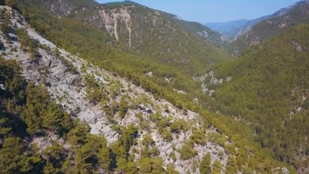 Prachtig uitzicht vanaf de drone. Een knip. Enorme groene bergen, met hoge bomen op de achtergrond, een helderblauwe licht mistige lucht. — Stockvideo