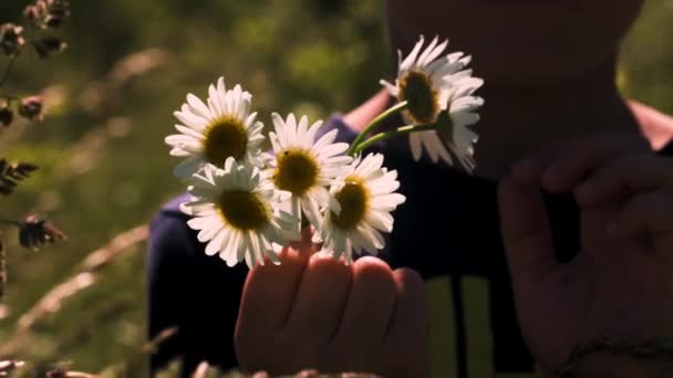 Bir buket papatya. Yaratıcı. Elinde papatyaları olan bir çocuk ayakta duran ve tarlada çiçek yapraklarını sıralayan uzun otların arasından görülebilen. . — Stok video