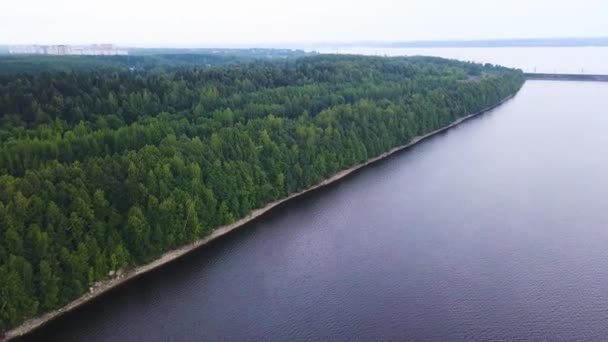 Utsikt från en helikopter. Klipp. En stor flod omgiven av en grön skog mot en dimmig himmel. — Stockvideo