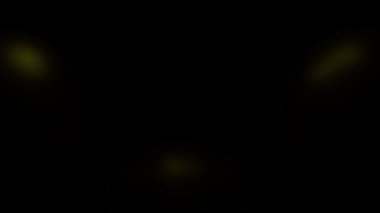 Işıklı siyah bir arkaplan üzerine gerçek dışı bir yıldırım düştü. Tasarım. Soyut renkli enerji kıvrımlı çizgiler ritmik, pürüzsüz döngü.