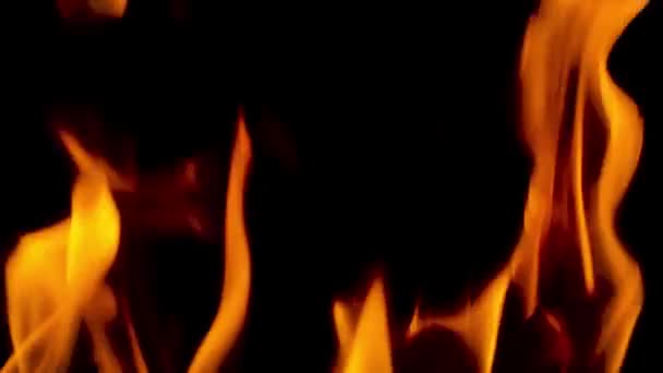 Огонь, который развивается. Клип. Желто-оранжевое пламя колеблется на черном фоне . — стоковое видео