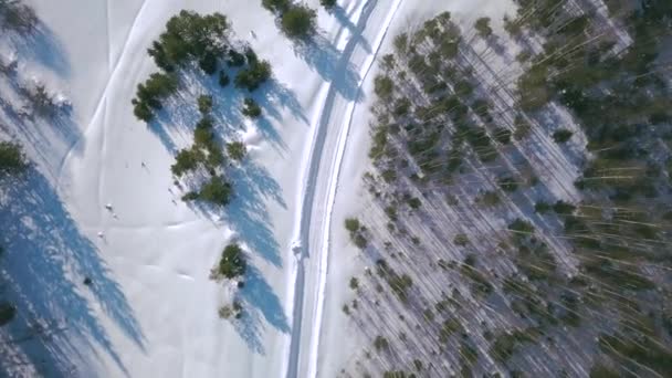 A téli erdő kiterjedése. Csípés. Madártávlatból. Egy hatalmas havas fehér erdő nagy hófákkal borított karácsonyfákkal a kék ég hátterében. — Stock videók