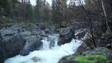 Şelale. Şarjör. Küçük bir şelale büyük gri taşların üzerinde koyu yeşil bir ormanın arka planına doğru akar..