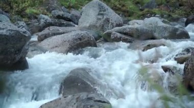 Şelale. Şarjör. Küçük bir şelale büyük gri taşların üzerinde koyu yeşil bir ormanın arka planına doğru akar..