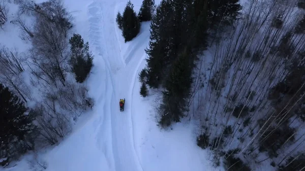 Kilátás egy helikopterről. Csípés. Egy havas fehér erdő hóviharban, melyen elektronikus nagy szánok lovagolnak egy emberrel a csupasz zöld fák mellett.. — Stock Fotó