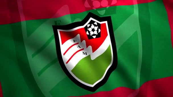 サッカーチームの紋章を持つ国の旗。動きだ。サッカー協会のロゴで国の旗を表示します。サッカー選手権でモルディブの旗 — ストック動画