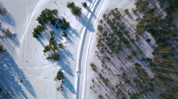 De uitgestrektheid van het winterbos. Een knip. Birds-eye zicht. Een enorm besneeuwd wit bos met grote besneeuwde kerstbomen op een blauwe hemel achtergrond. — Stockfoto