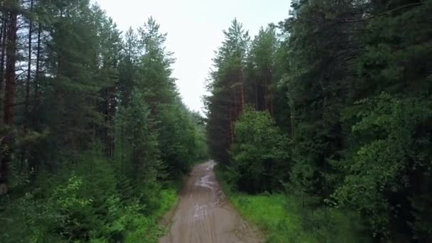 Utsikt från en helikopter. Klipp. En stor grön skog, med en lerig väg med pölar och en ljus himmel ovanför. — Stockvideo