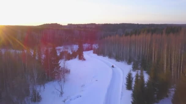 Η θέα από το τηλεκατευθυνόμενο. Κλιπ. Ένα τεράστιο χιονισμένο δάσος χειμώνα με χιονοστιβάδες στις οποίες ηλεκτρικά μηχανήματα με ένα άτομο περπατούν. — Αρχείο Βίντεο