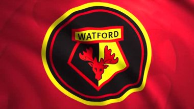 İngiliz futbol kulübünün bayrağı. Hareket. Futbol kulübü logosu olan parlak bir bayrak. Watford 'daki futbol kulübünün bayrağı.