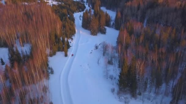 Het uitzicht vanaf de drone. Een knip. Een enorm besneeuwd winterbos met sneeuwverschuivingen waarop elektrische machines met een persoon lopen. — Stockvideo