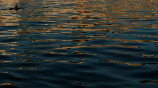 Hermosa agua iridiscente. Creativo. las pequeñas olas del mar oscilan con la boya que se mueven. —  Fotos de Stock