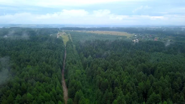 Interessanter Blick aus der Drohne. Schöner grüner Wald mit hohen Bäumen auf einem grünen Hügel. — Stockfoto