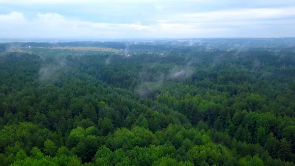 Bela vista do drone. Clipe. Uma floresta verde com abetos altos e árvores grandes com um campo e um céu nebuloso azul. — Fotografia de Stock