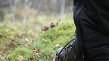 Ormanda bir adım. Şarjör. Sonbaharın sonlarında yeşil bitki örtüsüyle yürüyen siyah pantolon ve botlarla yürüyen bir adam. .
