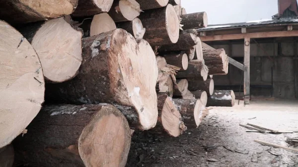 Wood lying on top of each other. Clip. Wooden logs located side by side in an approximate view — Stock Photo, Image