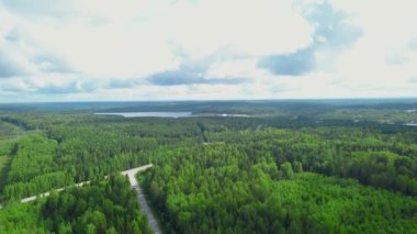 Yeşil ormanların ve yollu çayırların olduğu yaz manzarası. Şarjör. Yazın gökyüzü ve ufkun arka planında güzel yeşil ormanlar