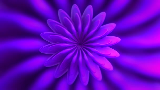 外生紫丁香形状的花，花瓣不断变化，环路无缝。行动。异形花绽放对称花. — 图库视频影像