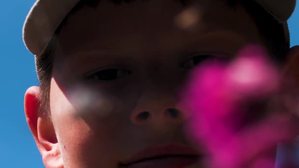 Zbliżenie niewyraźne różowy kwiat i uśmiechnięty chłopiec twarz na tle błękitnego nieba. Kreatywny. Letni dzień i chłopiec oglądający dziką przyrodę świata. — Wideo stockowe