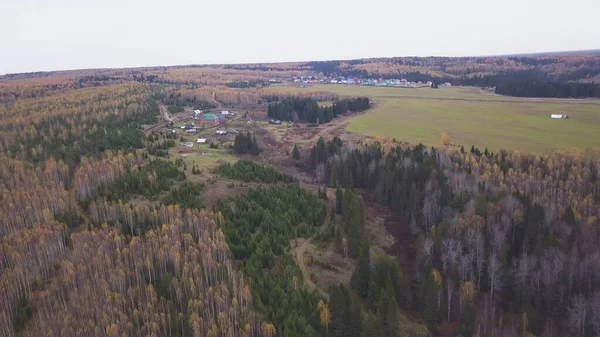 Uitzicht vanuit de lucht van boven over een klein dorpje. Een knip. Ecologische plaats voor landbouwactiviteit en voor het leven gelegen nabij gemengd herfstbos en groen veld. — Stockfoto