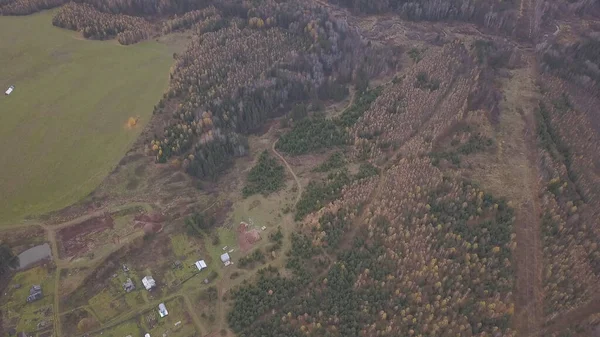 Vista aérea del paisaje rural de la aldea con campo agrícola, bosque y casas pequeñas. Clip. Fondo natural de otoño con bosque mixto y campo de cosecha. — Foto de Stock