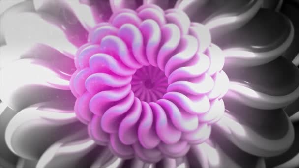 Flor fractal abstracta rosa y plateada con pétalos en movimiento. Moción. Hermosa transformación hipnótica lenta de la flor gradiente, lazo sin costura. — Vídeos de Stock