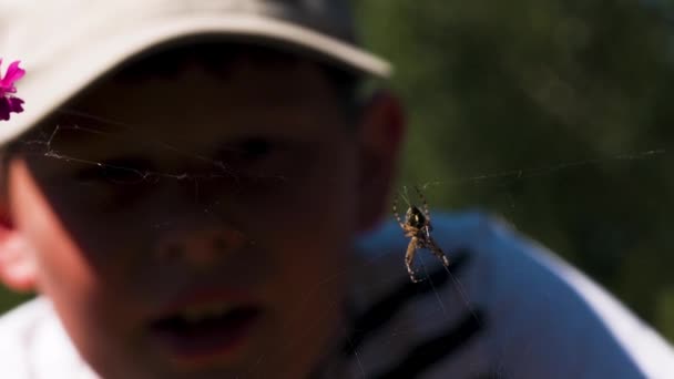 En lille dreng kigger på en edderkop på en solskinsdag. Kreativt. Et barn i en kasket ser på et insekt, der sidder på et edderkoppespind og åbner munden. – Stock-video