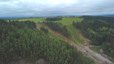 Yemyeşil bitki örtüsüyle kaplı arazinin havadan görünüşü. Şarjör. Dağ yamacında yetişen yeşil çimenli ve ormanlı güzel bir manzara..